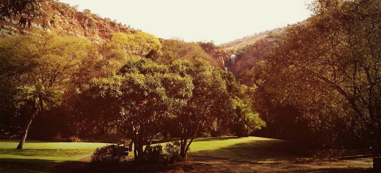 Walter Sisulu National Botanical Garden has been one of Lloyd-Anthony’s favourite urban green spaces since childhood.