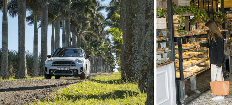 A palm-lined avenue on the track to Dudley Pringle Dam, where Tanika headed for a sunset picnic. She stopped at Yoli’s Bakery at the Ballito Lifestyle Centre to pick up picnic goodies. 